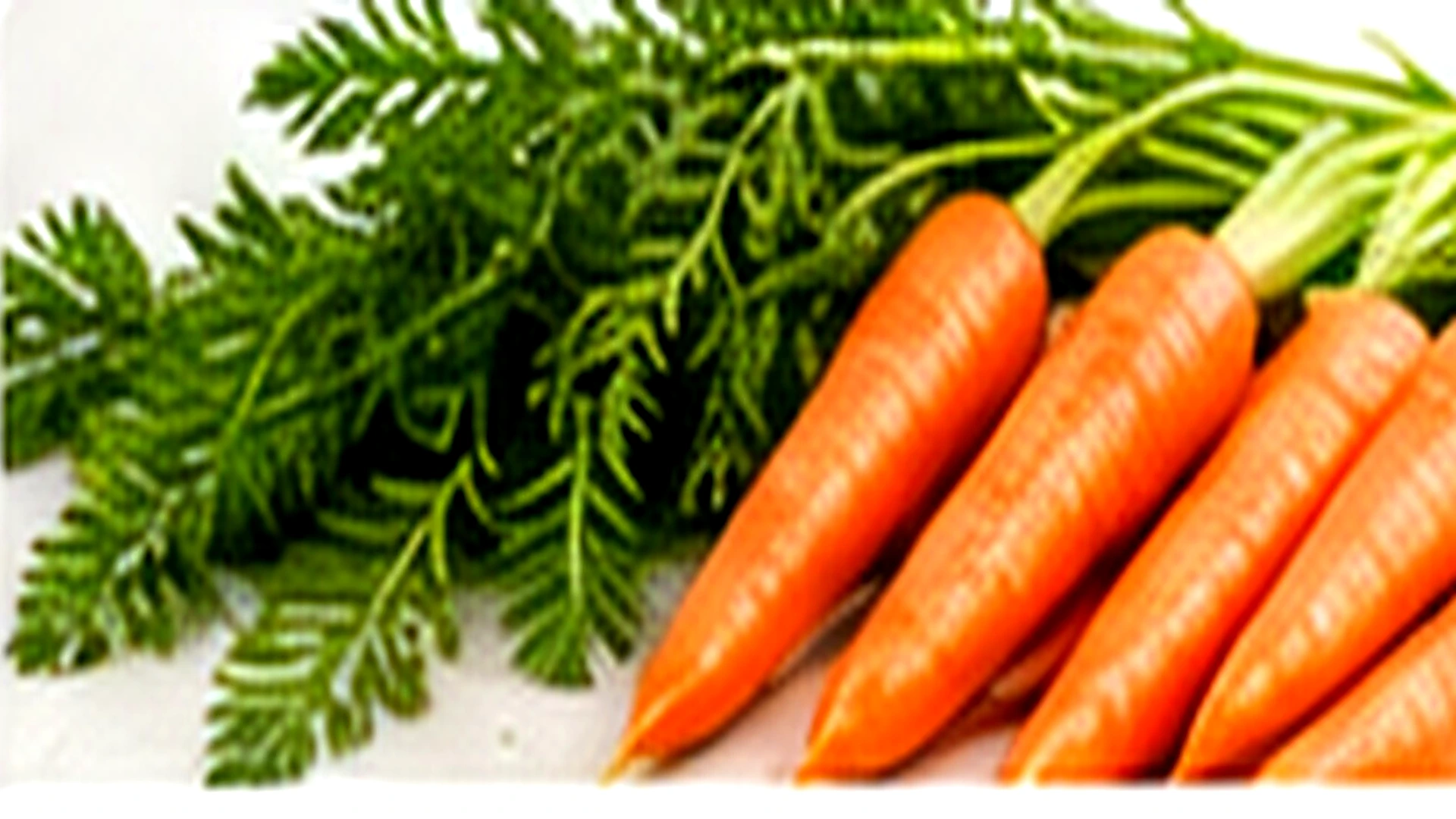 Fresh Egyptian Carrots