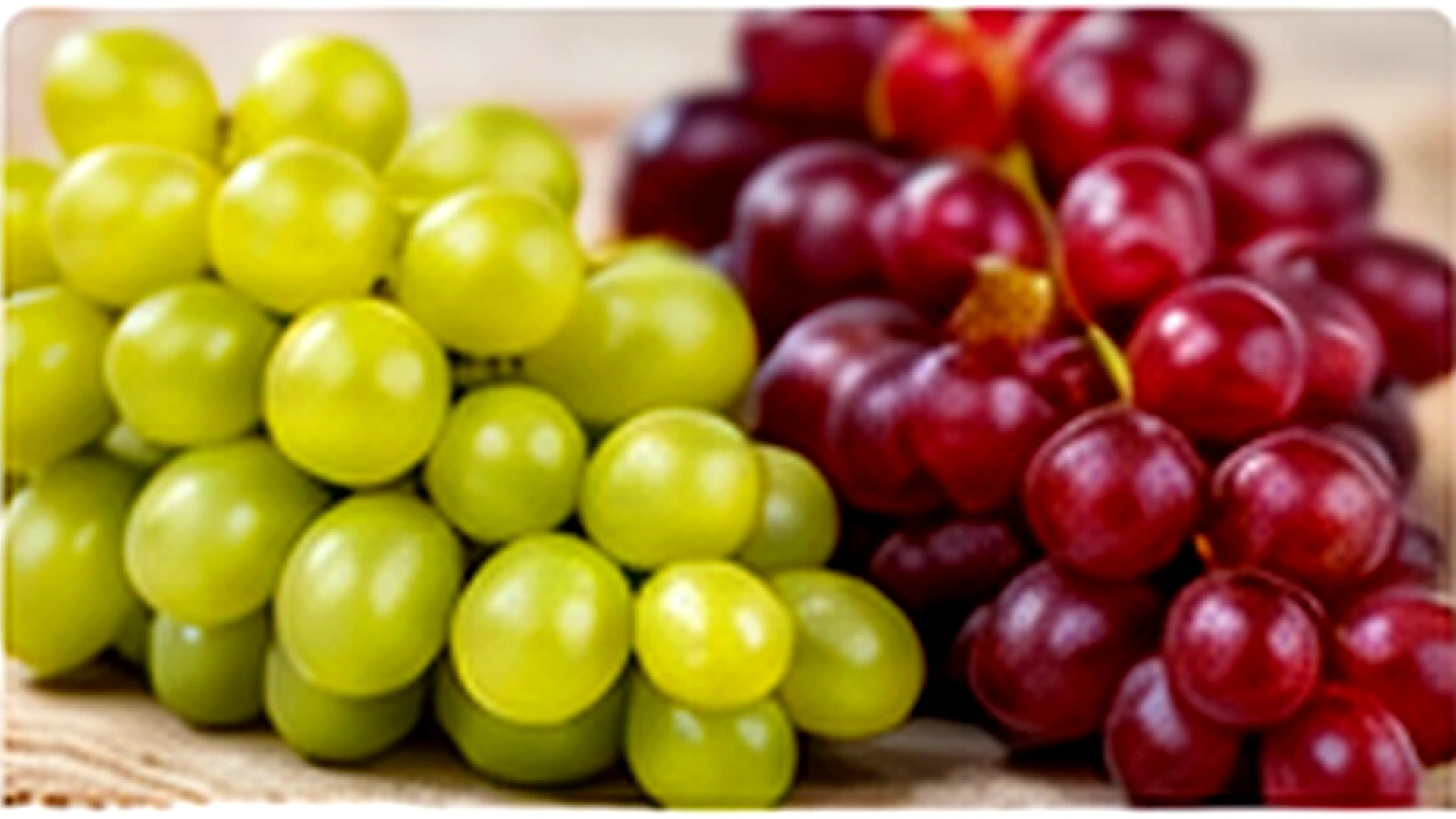 Fresh Egyptian Grapes