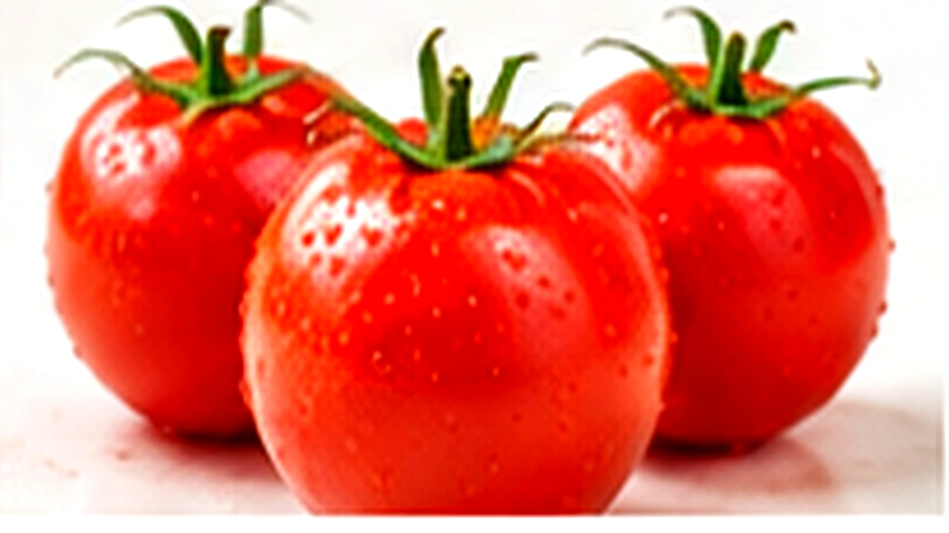Fresh Egyptian Tomatoes